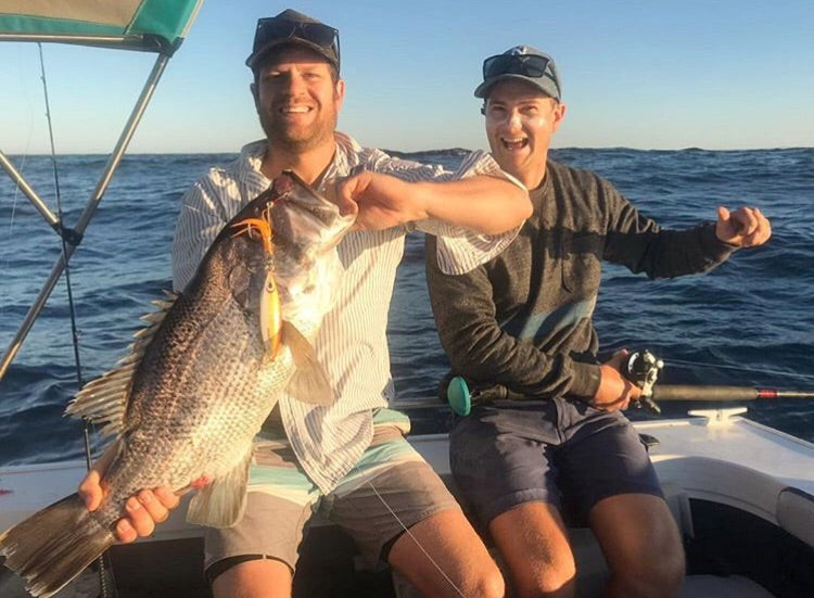 Western Brown (Glow)