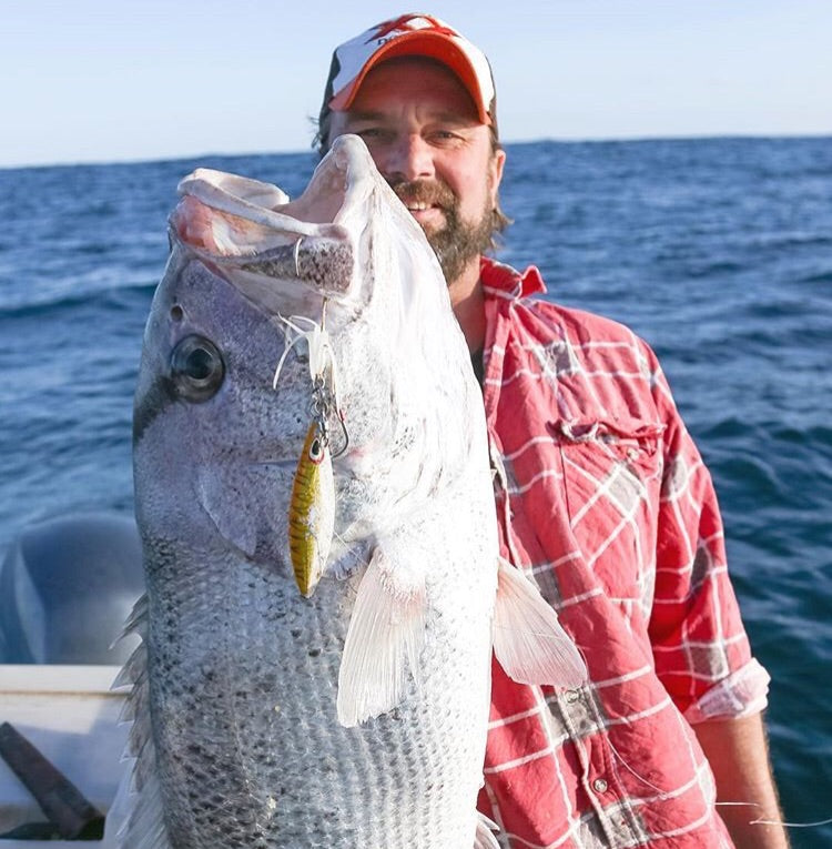 Western Brown (Glow)