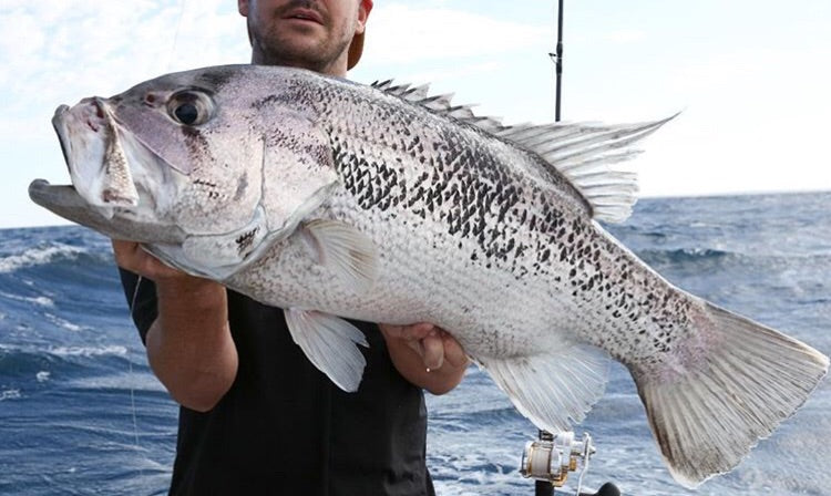 Demersal Jig Assist Rigging