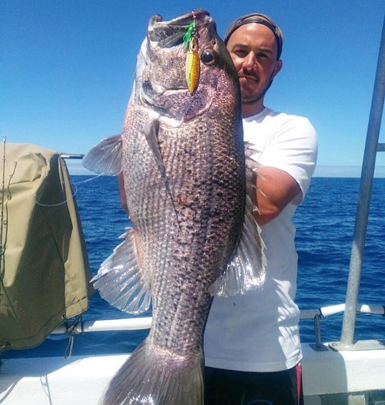 Western Brown (Glow)