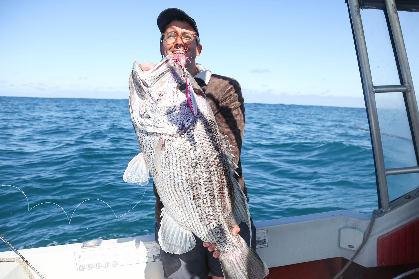 Demersal Jig Assist Rigging