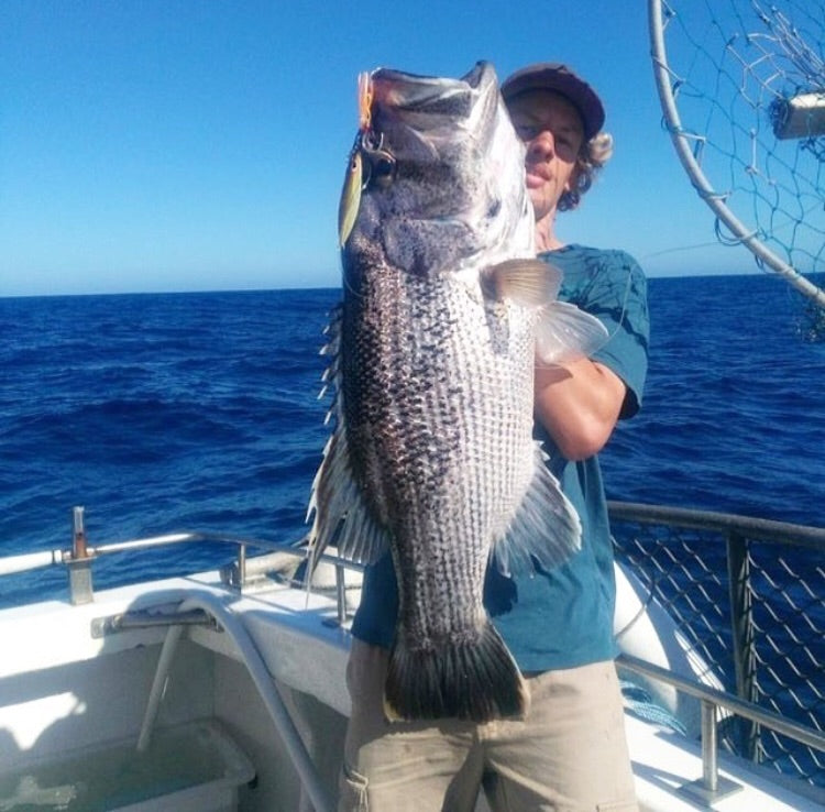 Western Brown (Glow)