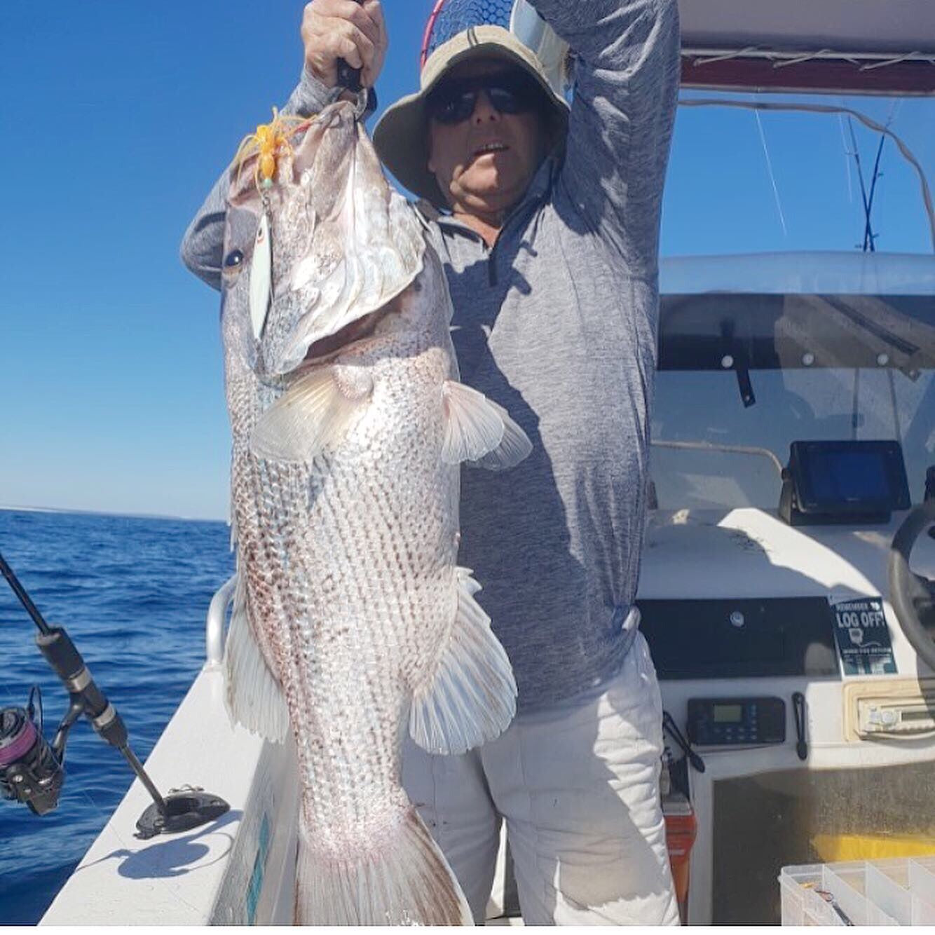 Western Brown (Glow)