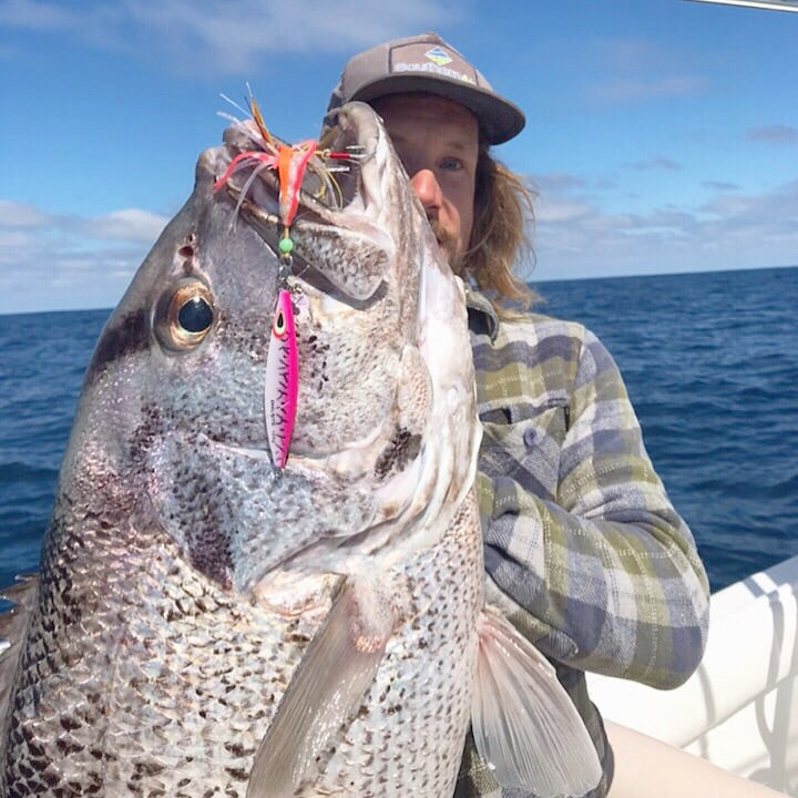 Dhufish Targeting Starter Pack