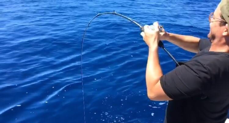 Dhubite Ultimate All-round Rod (Jigging, Soft plastic, Bottom Bouncing)