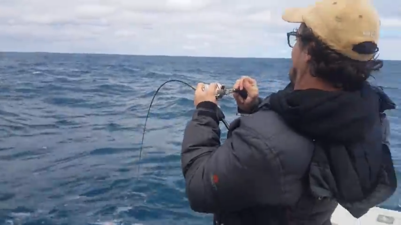 Dhubite Ultimate All-round Rod (Jigging, Soft plastic, Bottom Bouncing)