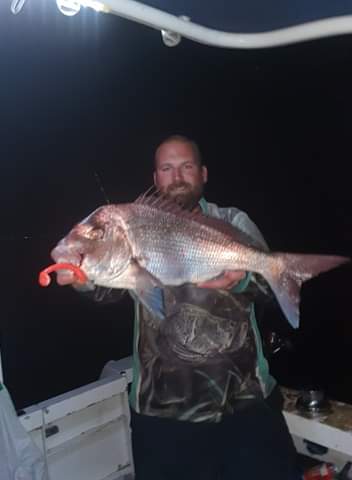 Paddletail (Ribbed) - 22cm, 13cm, 11cm