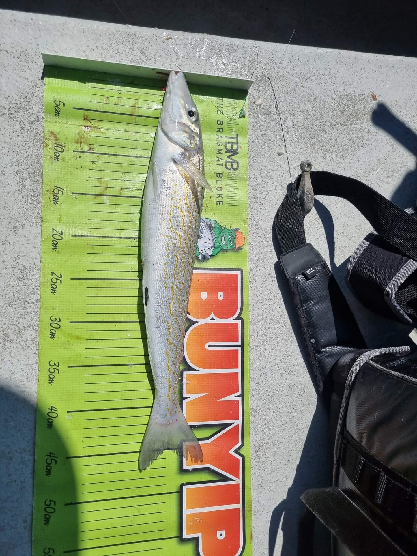 King George Whiting Rigs