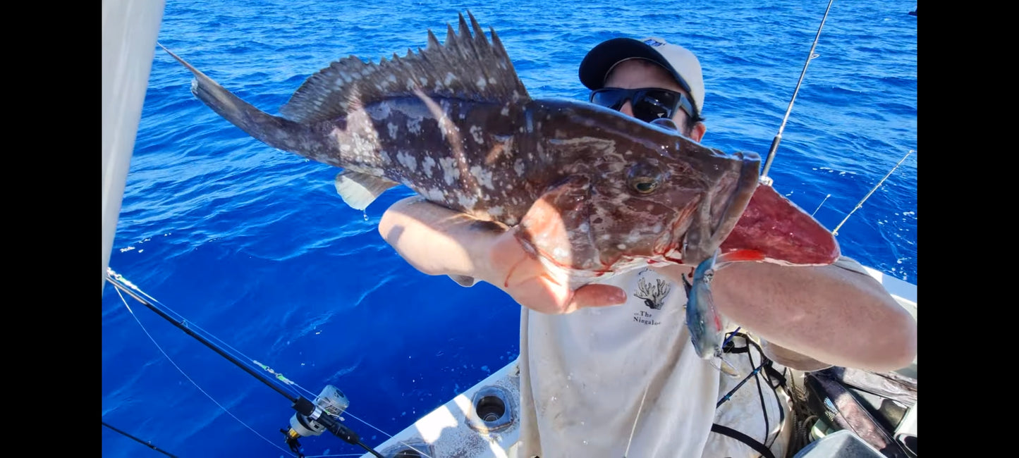 Vibe - 155mm - 190gms