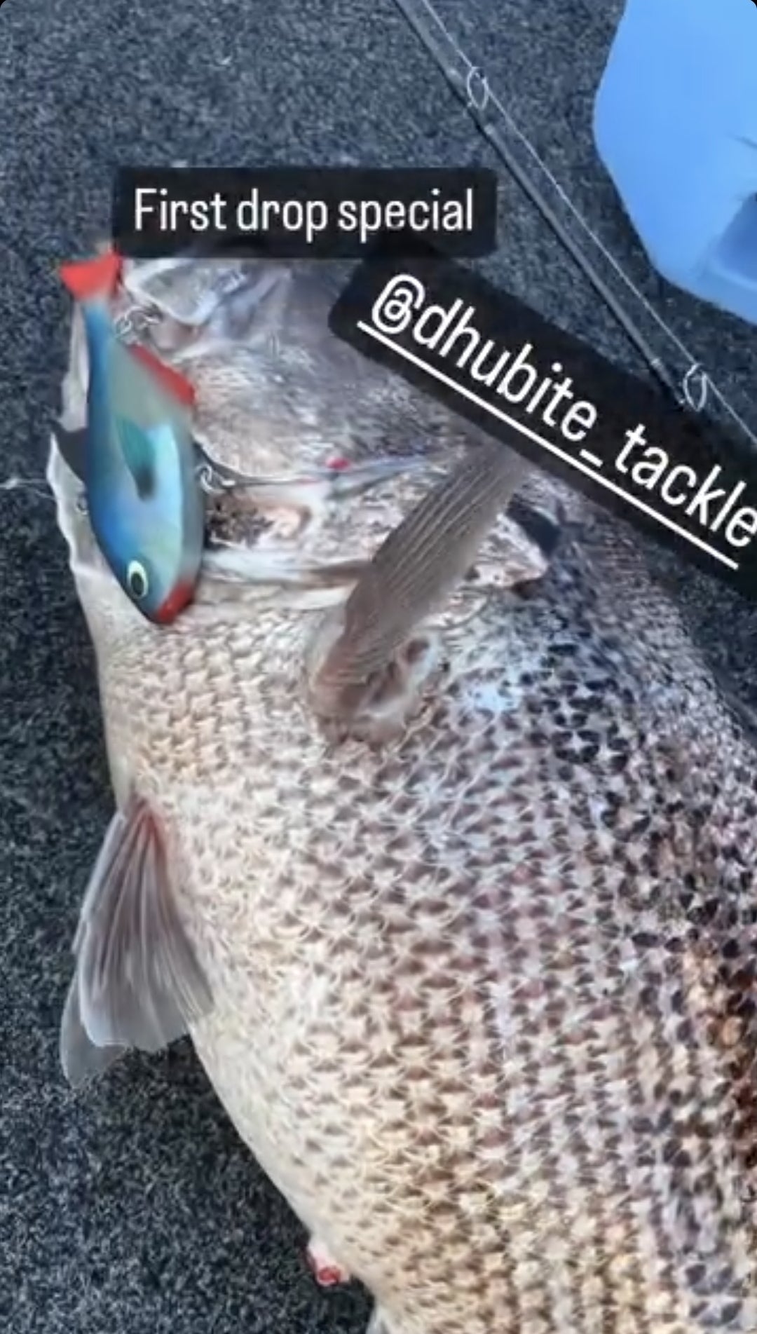 Vibe - 155mm - 190gms