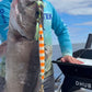Deep Drop Jigs (600g, 750g, 1000g)