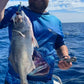 Deep Drop Rigs (16/0, 400lb)