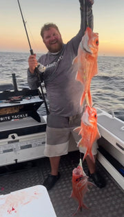 Deep Drop Rigs (16/0, 400lb)