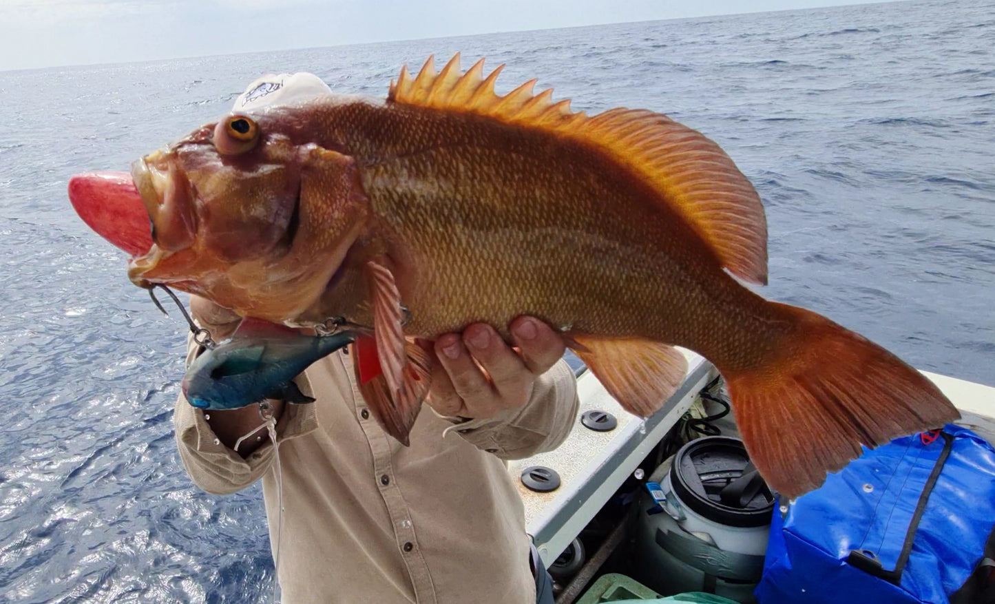 Vibe - 155mm - 190gms