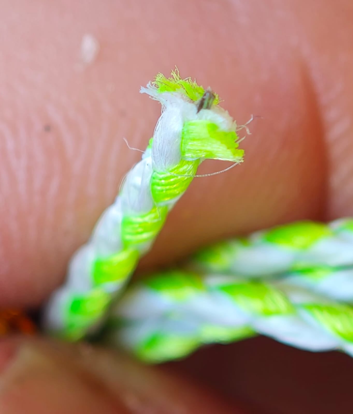 2026 Ban: Kalbarri to Augusta Discount Pack