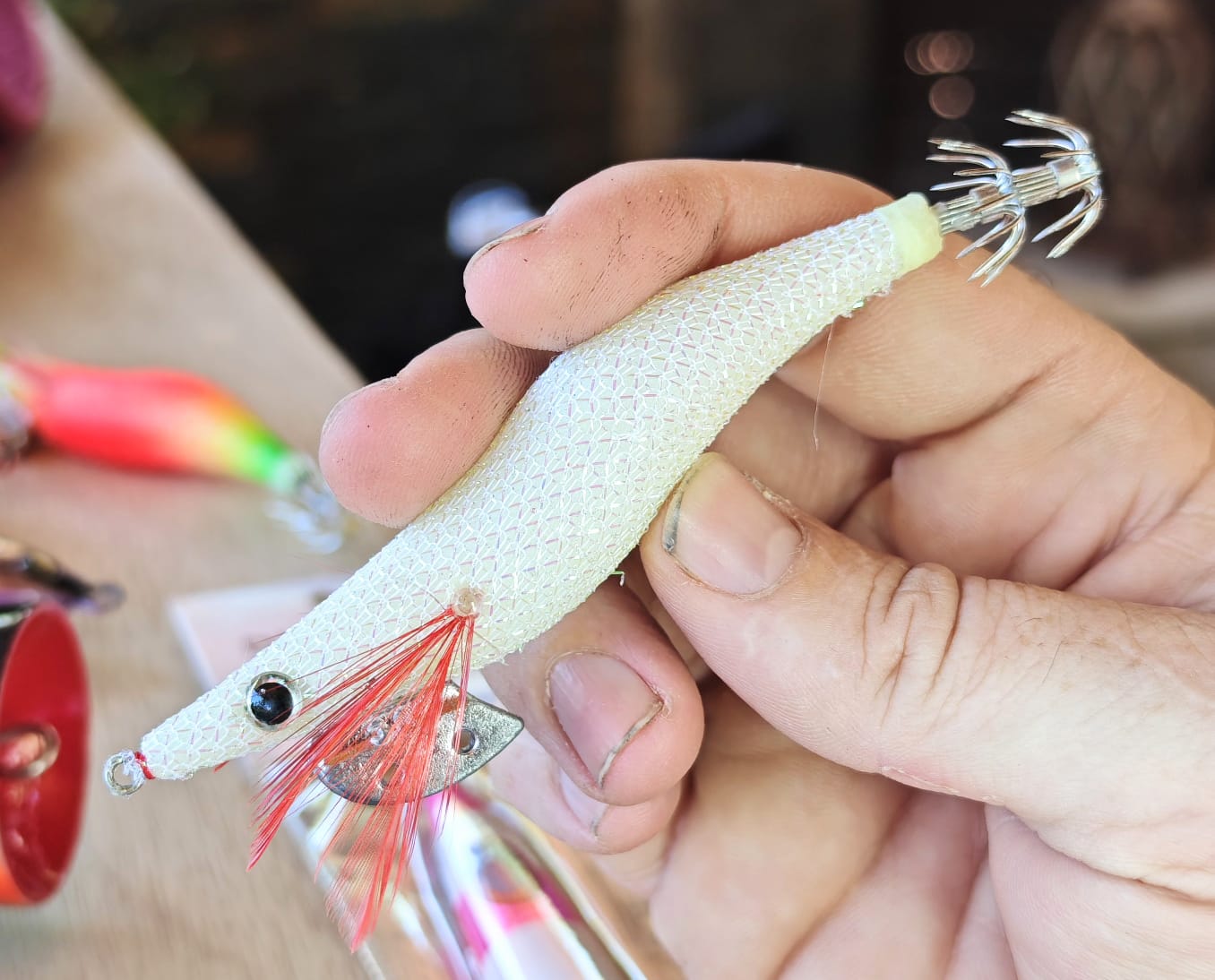 2026 Ban: Kalbarri to Augusta Discount Pack