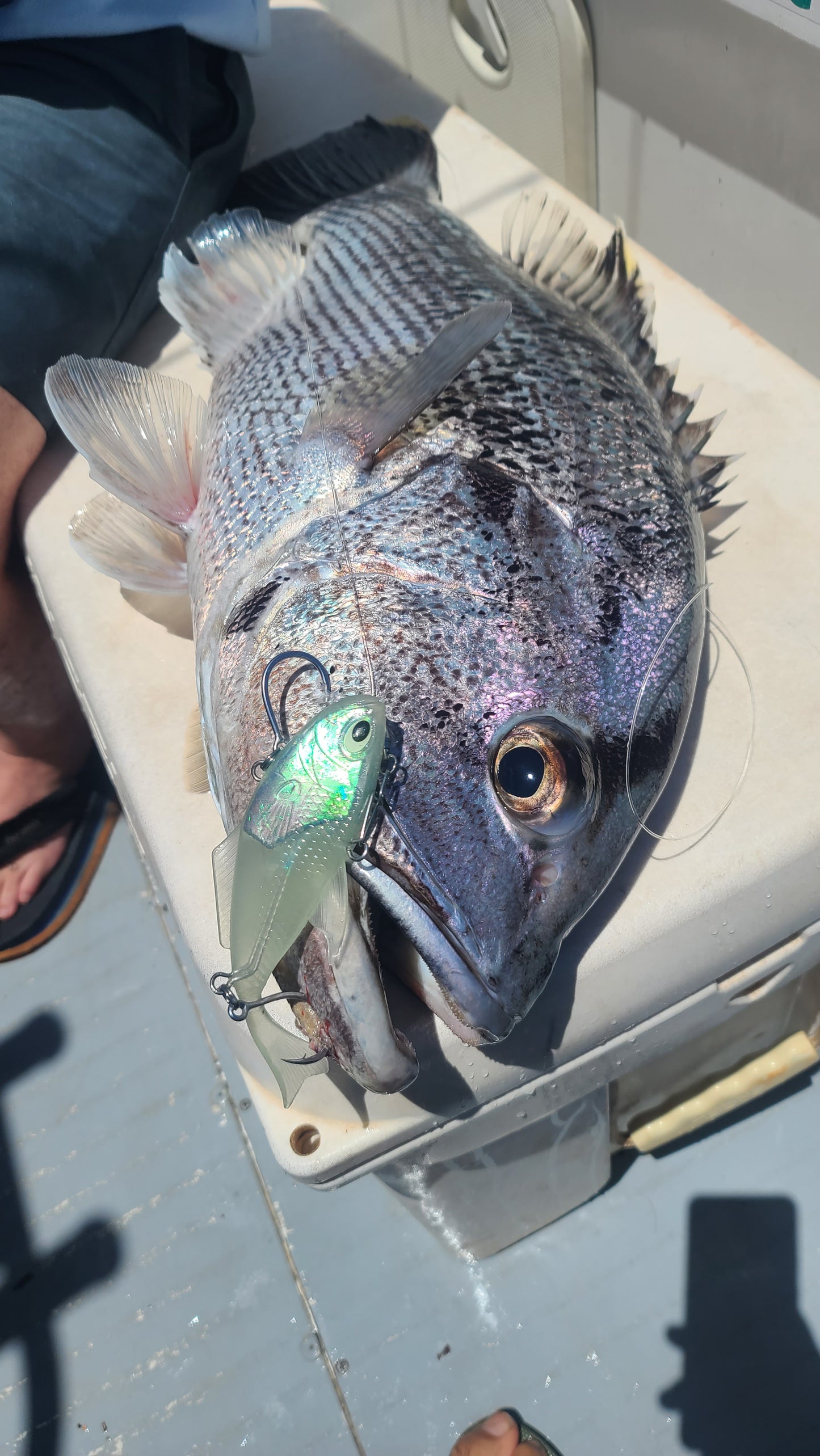 Vibe - 155mm - 190gms