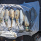 Squid Jigs - size 3.0