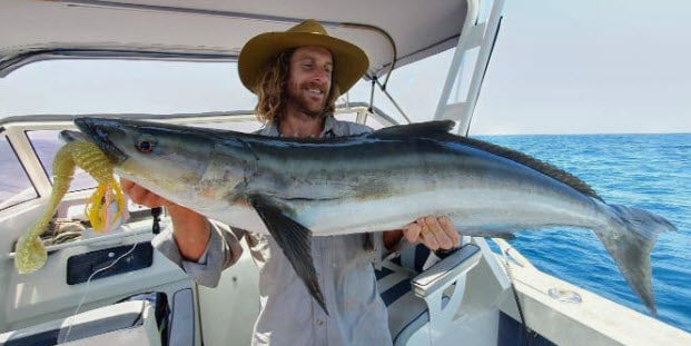 Paddletail (Ribbed) - 22cm, 13cm, 11cm