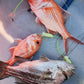 Deep Drop Rigs (16/0, 400lb)