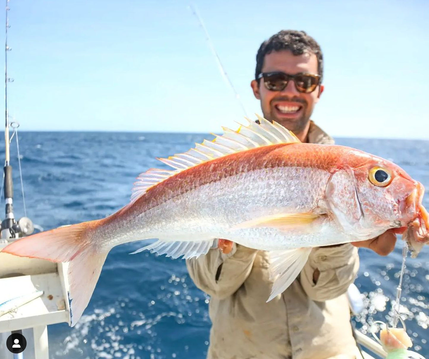 3 Dropper Rigs - J Hook