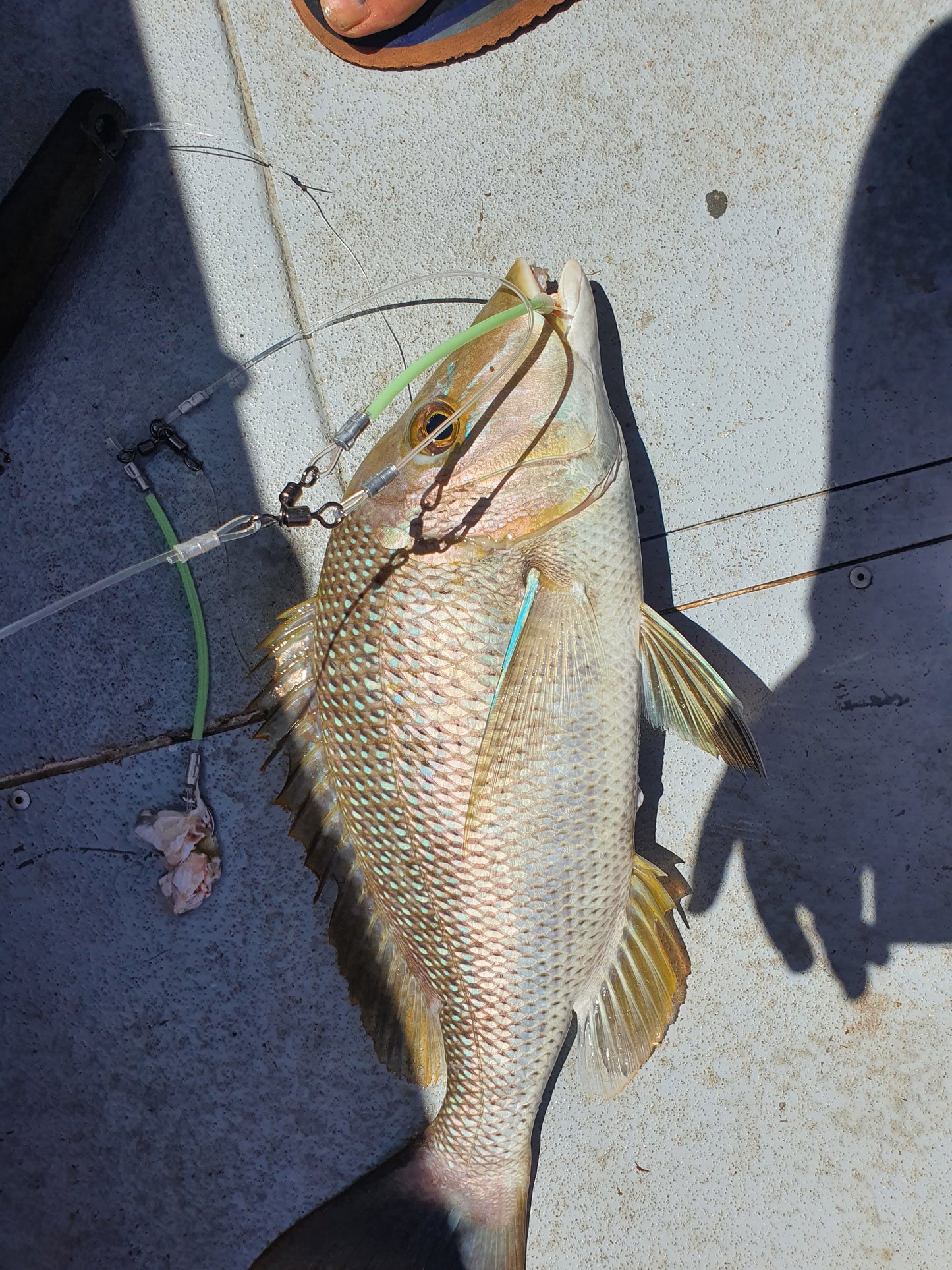 3 Dropper Rigs - J Hook