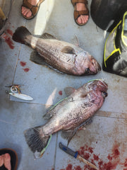 Deep Drop Rigs (16/0, 400lb)