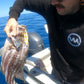 The Doodlebug