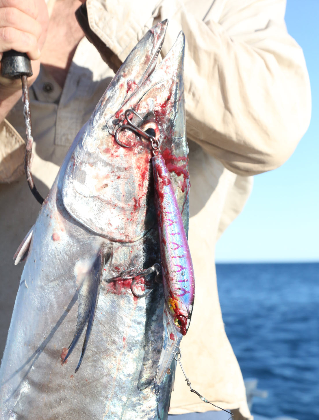 Deep Diver Trolling Lure