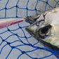Deep Diver Trolling Lure