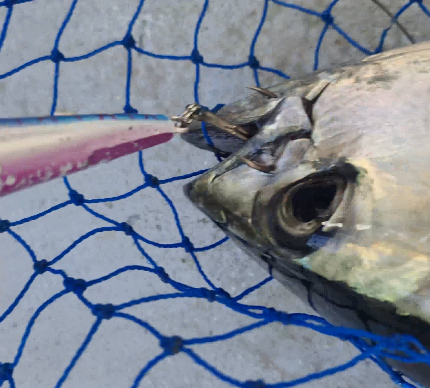 Deep Diver Trolling Lure