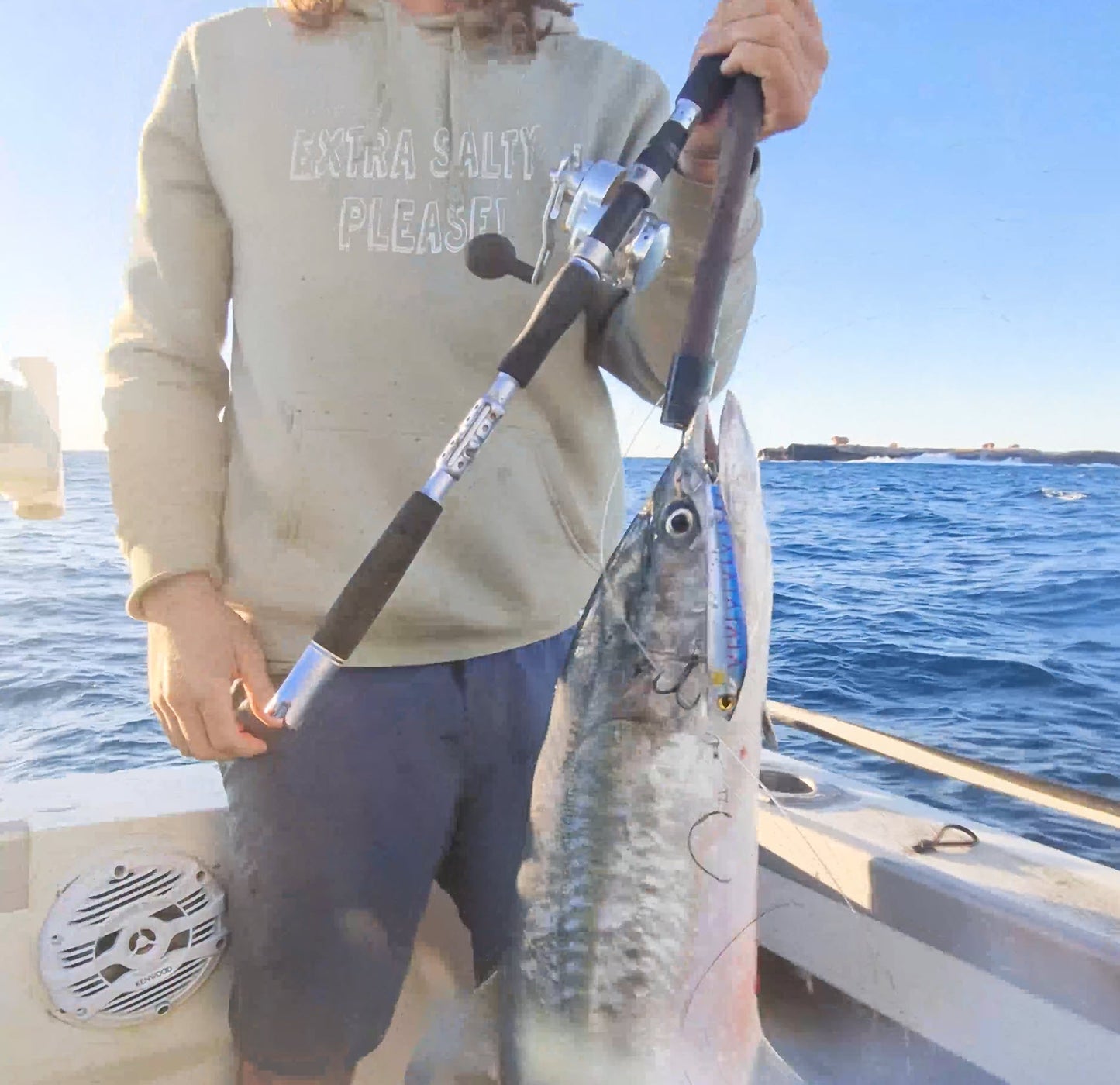 Deep Diver Trolling Lure