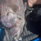 Baited Jig Heads