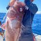 Deep Drop Jigs (600g, 750g, 1000g)