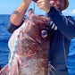 Deep Drop Jigs (600g, 750g, 1000g)