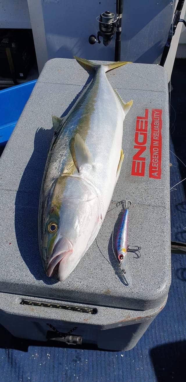 Deep Diver Trolling Lure