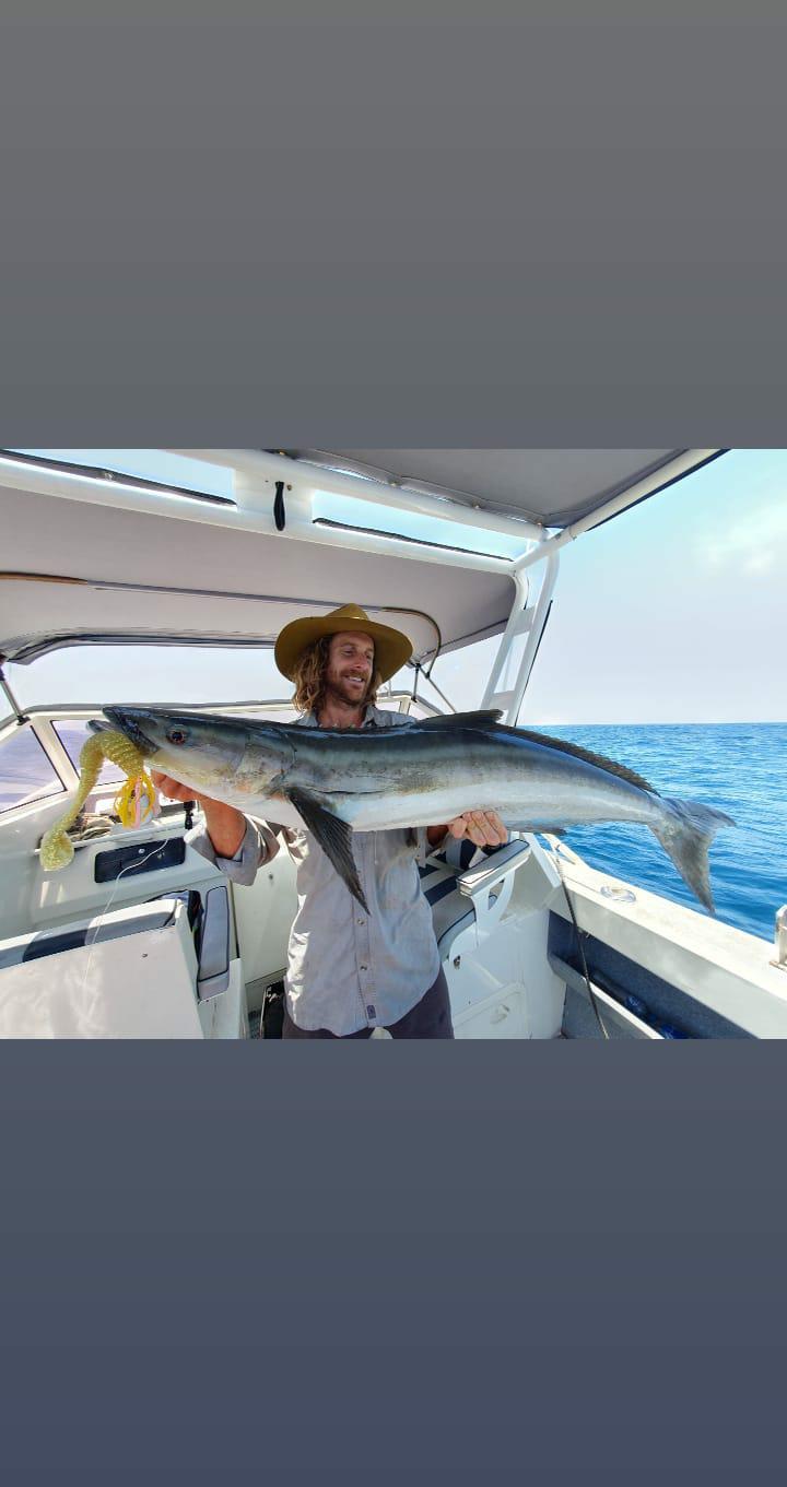 Paddletail (Ribbed) - 22cm, 13cm, 11cm