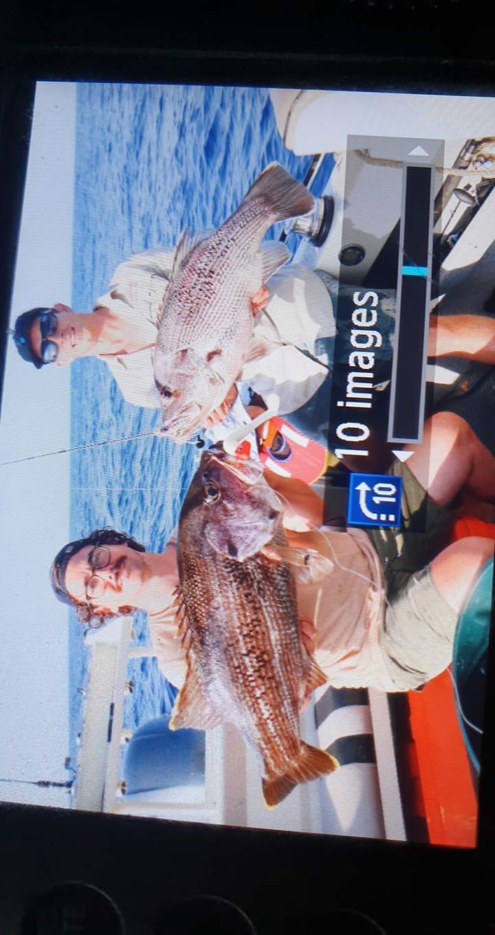 Paddletail (Ribbed) - 22cm, 13cm, 11cm