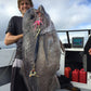 Deep Drop Jigs (600g, 750g, 1000g)