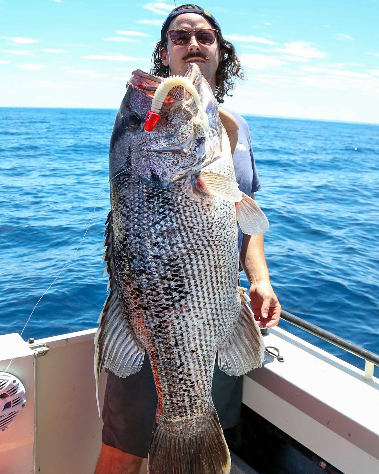 Paddletail (Ribbed) - 22cm, 13cm, 11cm