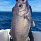 Deep Drop Rigs (16/0, 400lb)