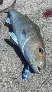Commander - 150g