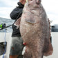 Deep Drop Rigs (16/0, 400lb)