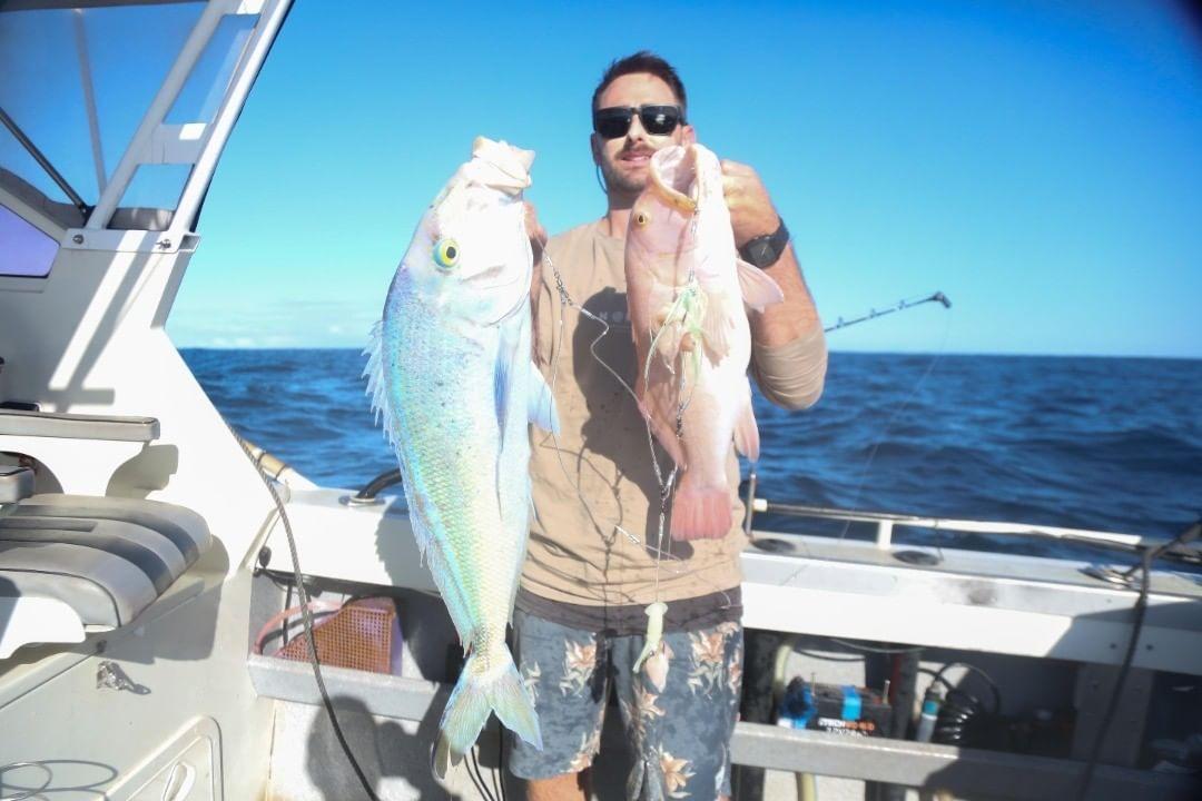 3 Dropper Rigs - J Hook