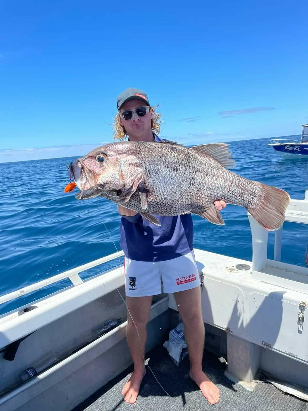 Paddletail (Ribbed) - 22cm, 13cm, 11cm