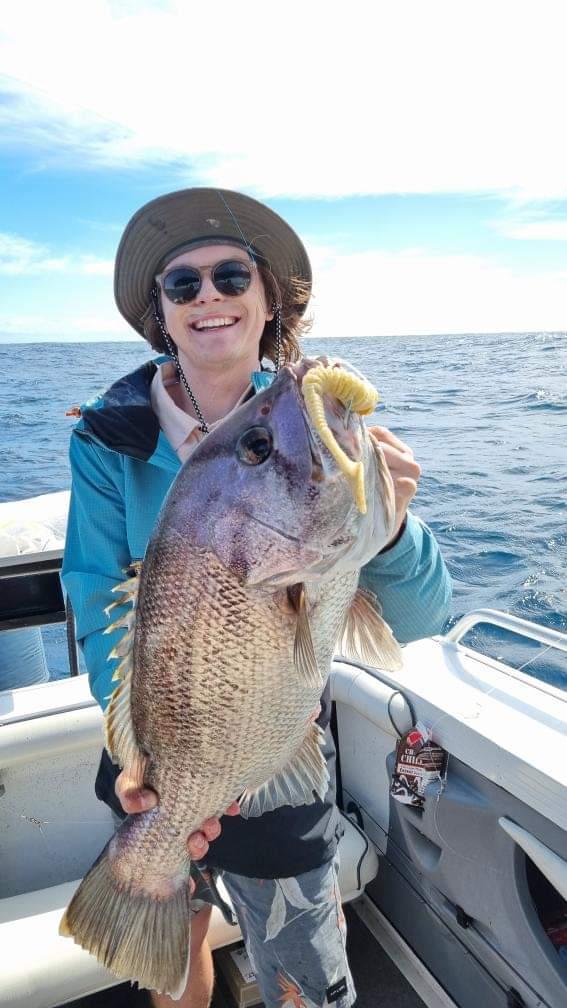 Paddletail (Ribbed) - 22cm, 13cm, 11cm