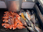 Deep Drop Rigs (16/0, 400lb)