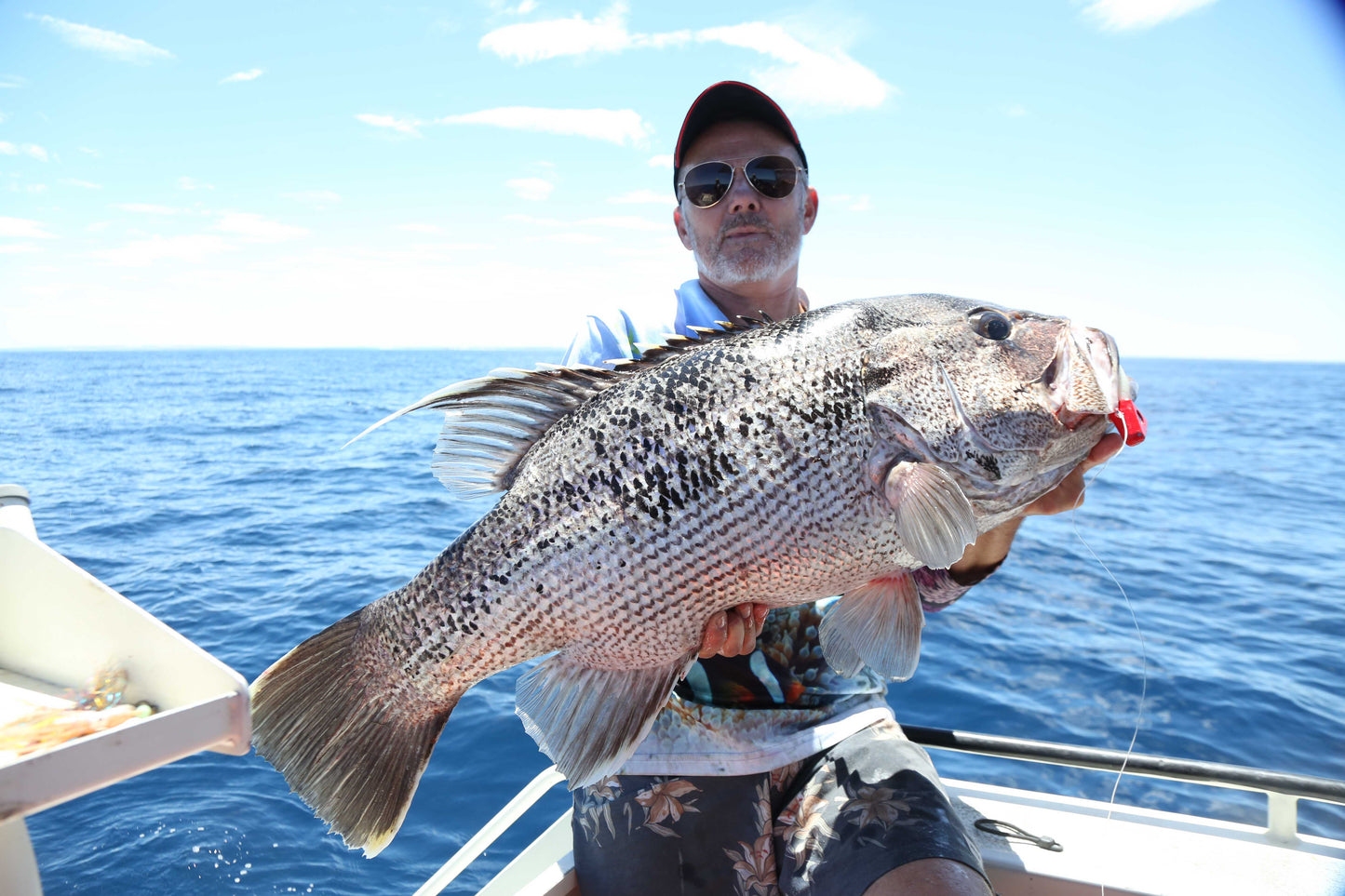 Paddletail (Ribbed) - 22cm, 13cm, 11cm