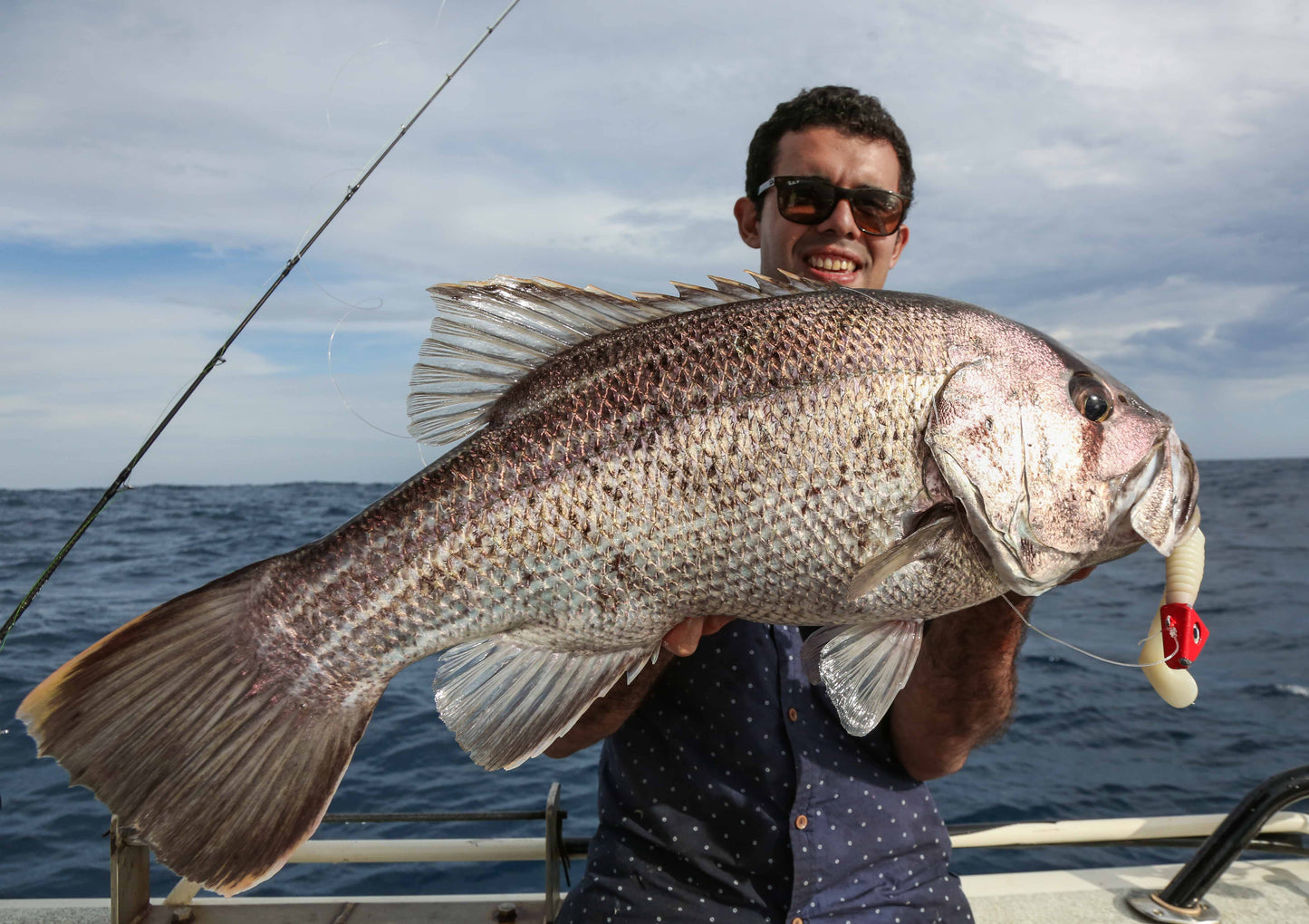 Paddletail (Ribbed) - 22cm, 13cm, 11cm