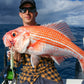 Deep Drop Rigs (16/0, 400lb)